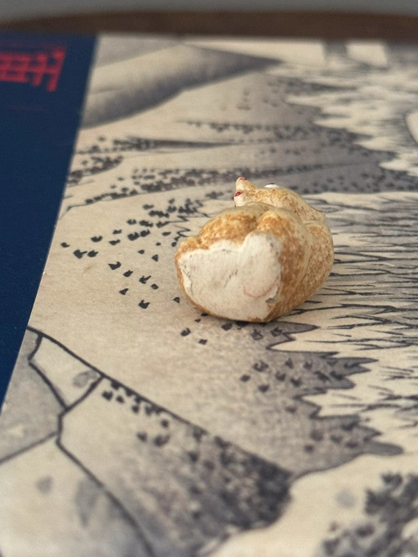 UN TANUKI BLANC ET BRUN