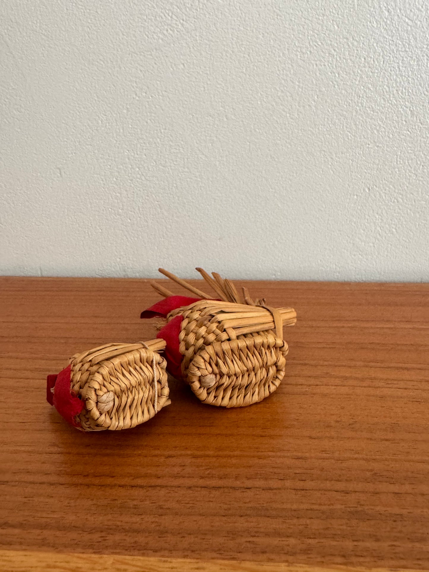 UNE POULET ET SON POUSSIN