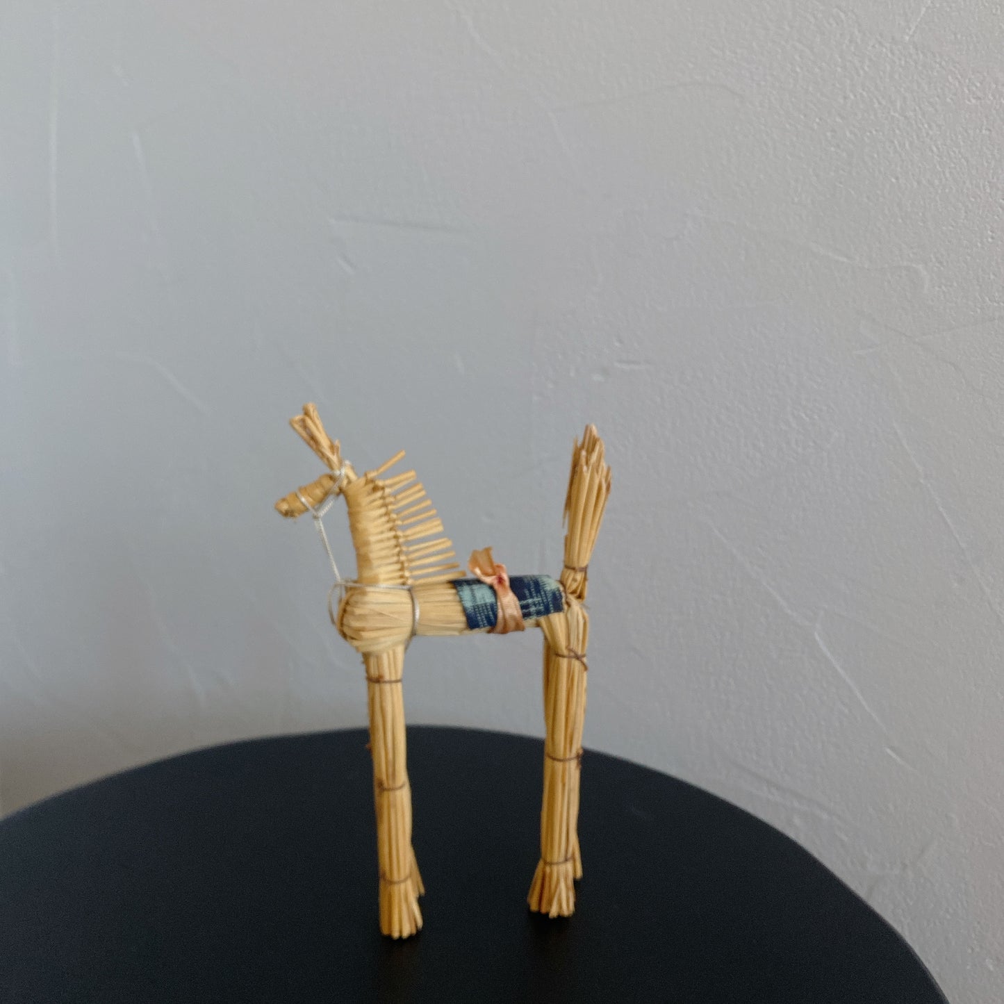 Un Cheval aux jambes longues