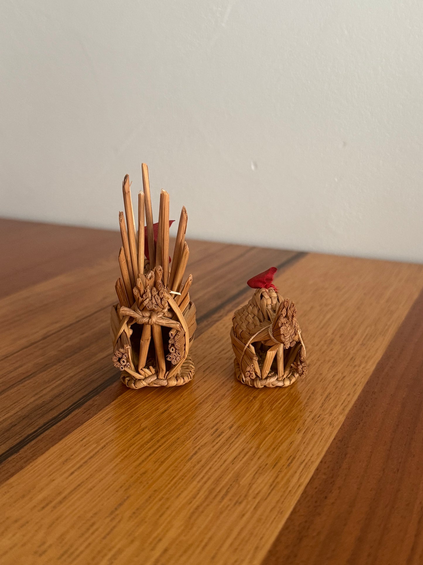 UNE POULET ET SON POUSSIN