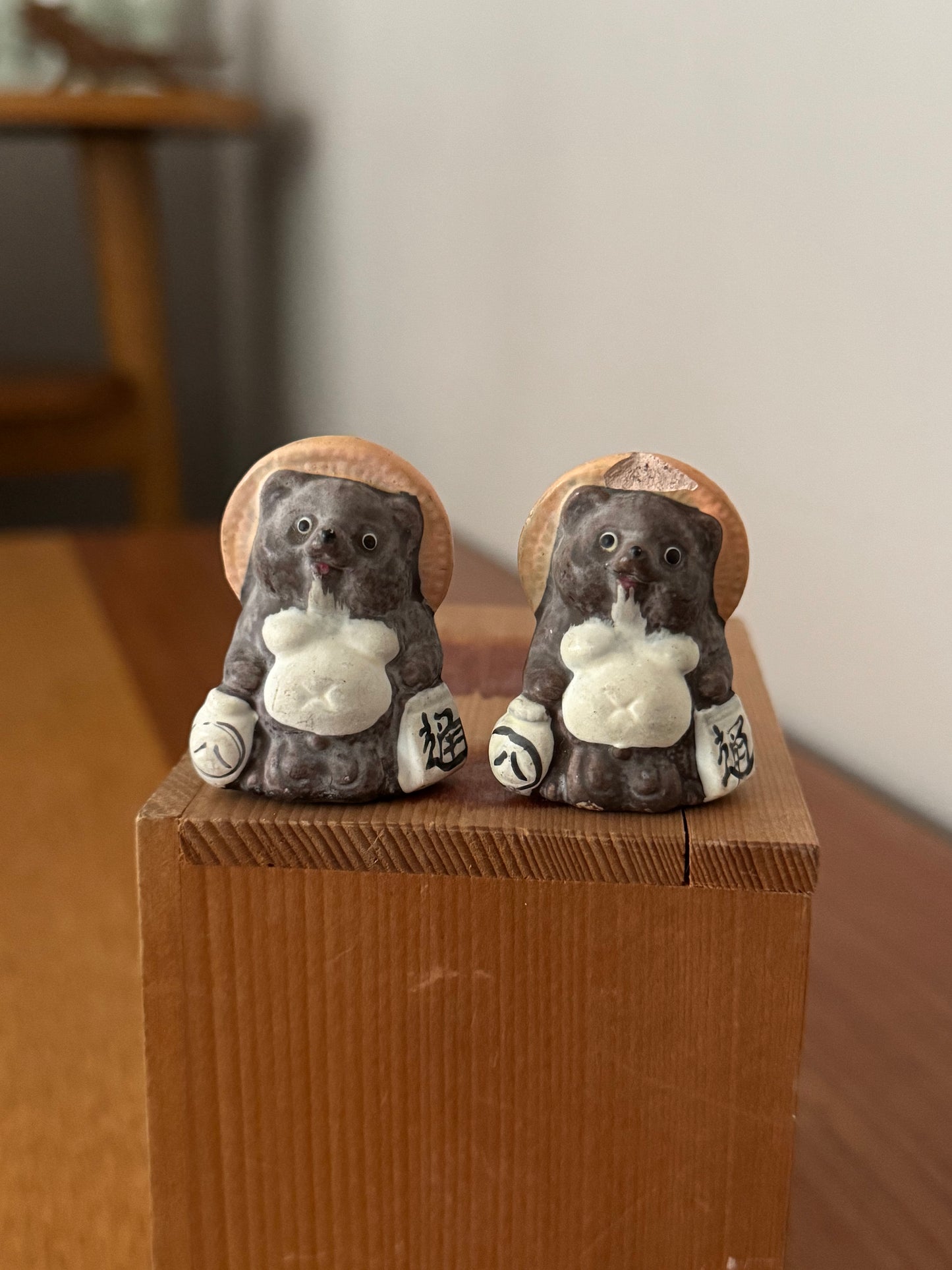 Tanuki de Shigaraki