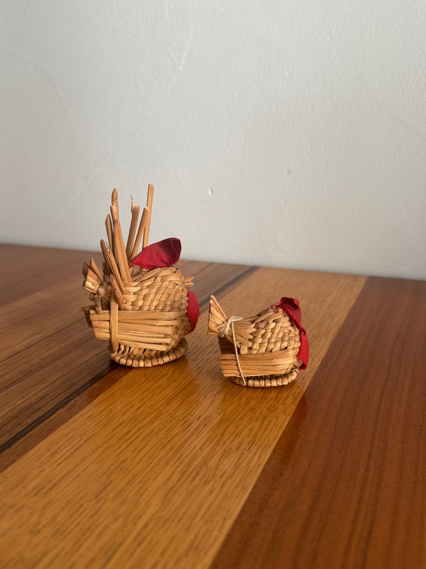 UNE POULET ET SON POUSSIN