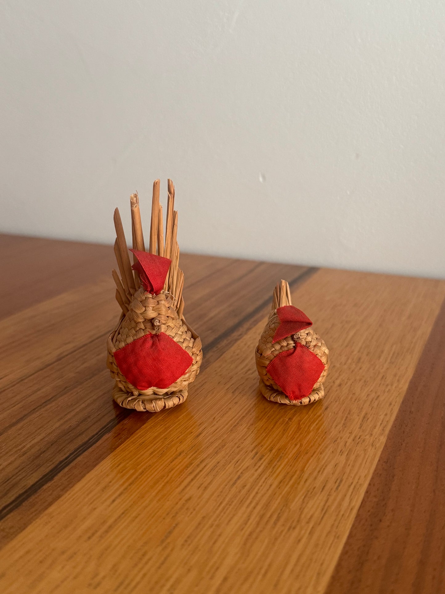 UNE POULET ET SON POUSSIN