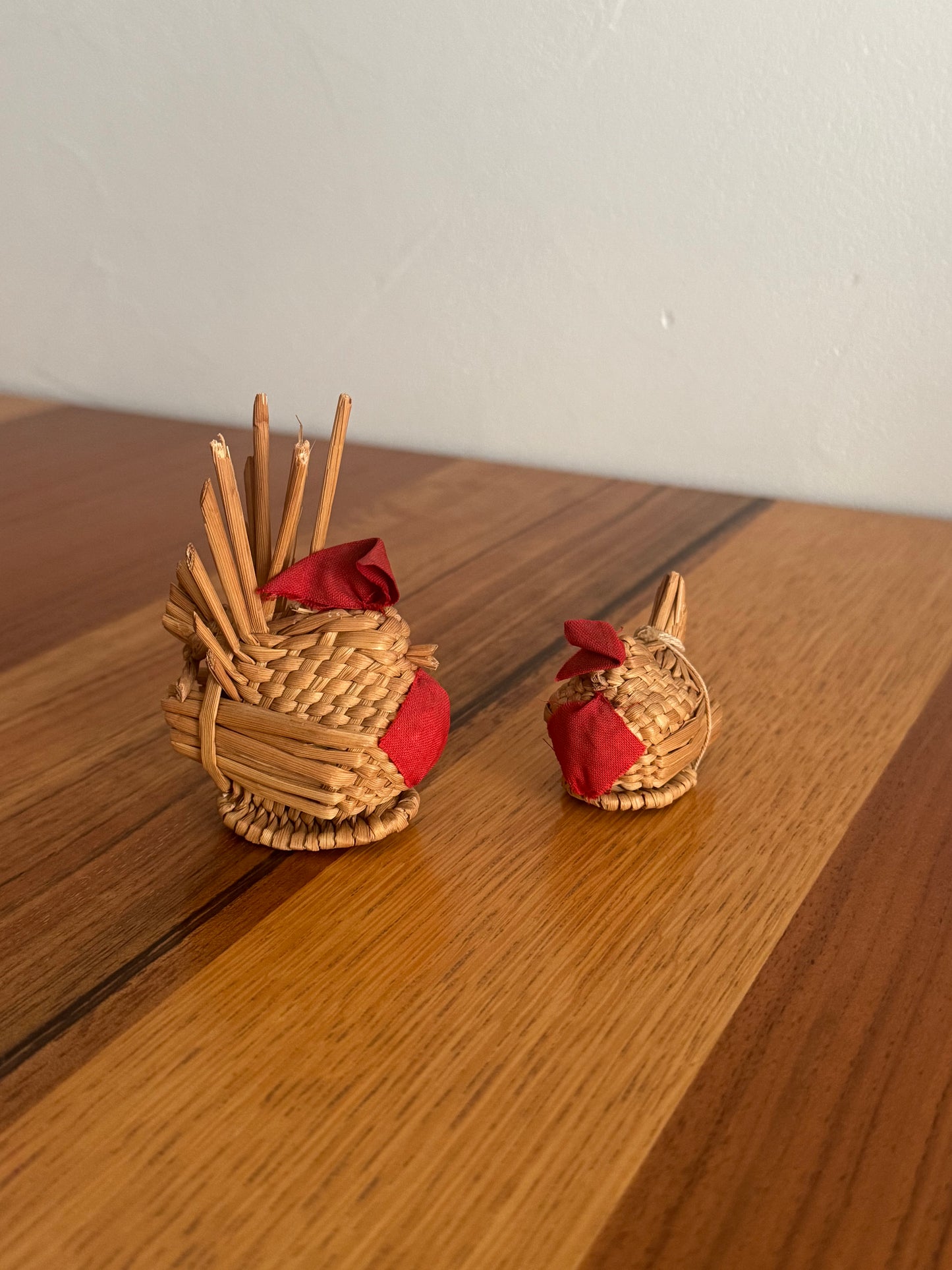 UNE POULET ET SON POUSSIN