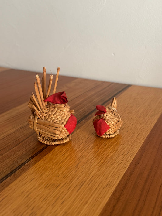 UNE POULET ET SON POUSSIN