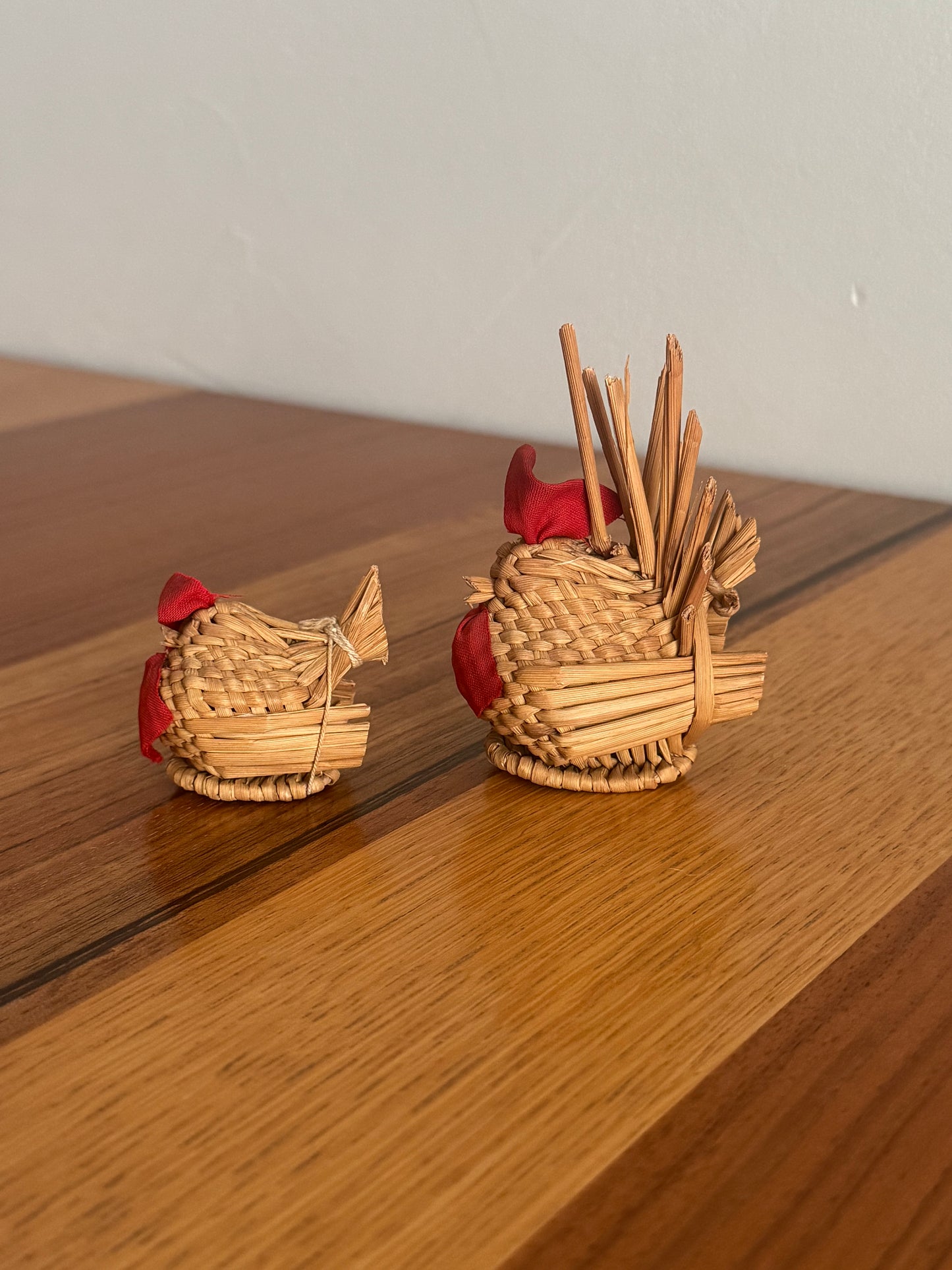 UNE POULET ET SON POUSSIN