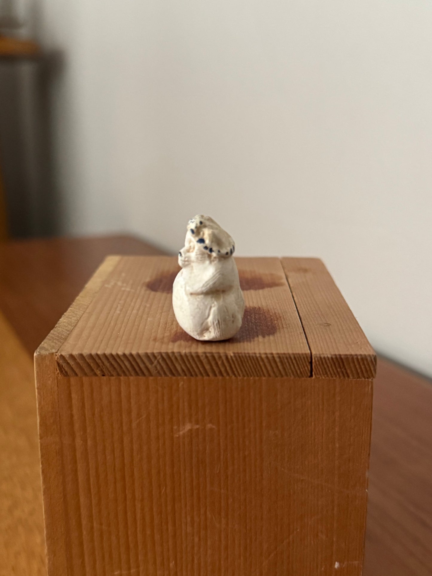 Tanuki de Shigaraki