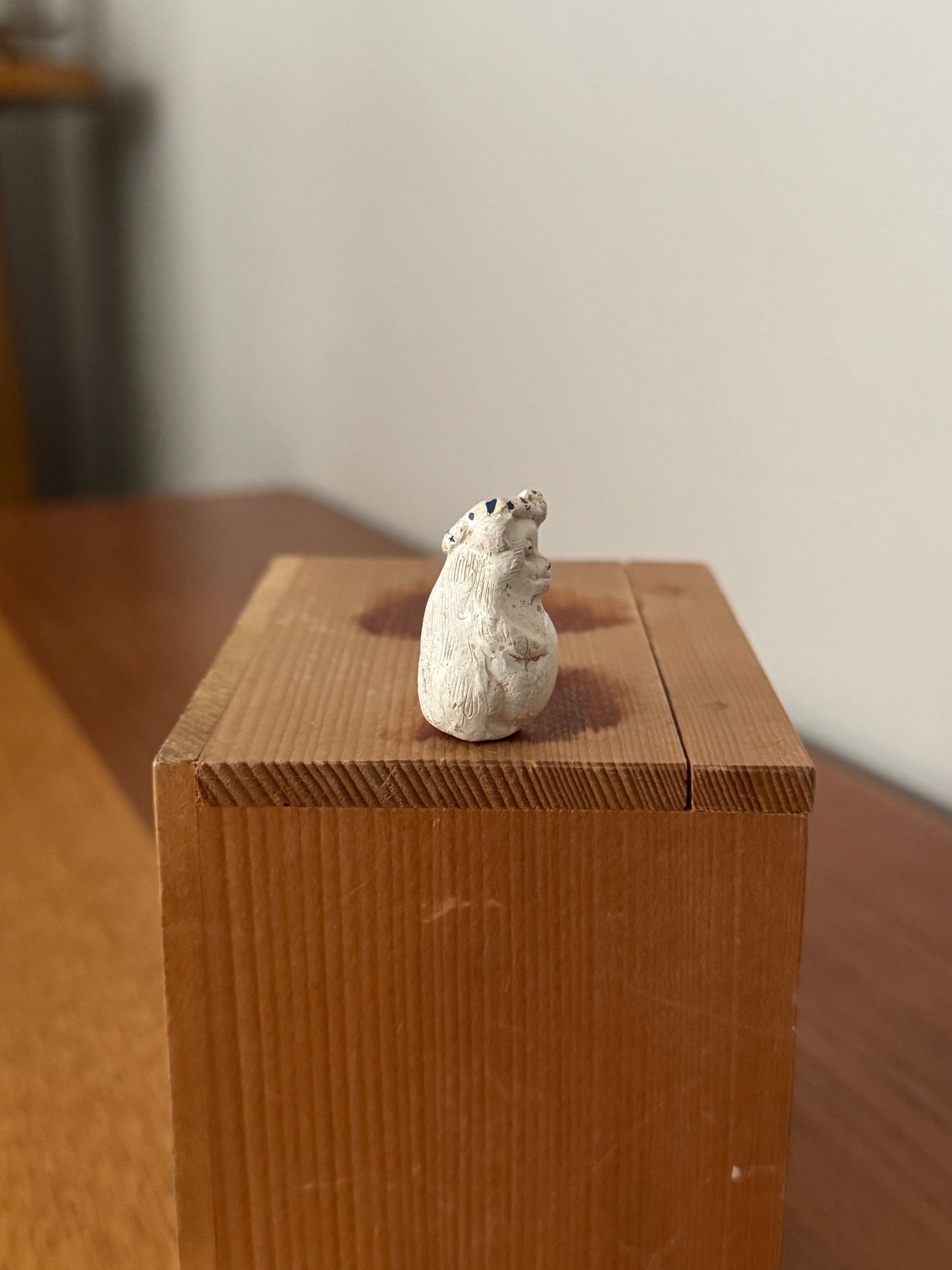 Tanuki de Shigaraki