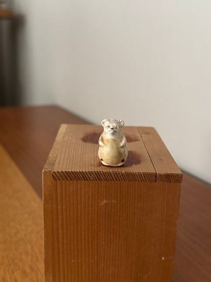 Tanuki de Shigaraki