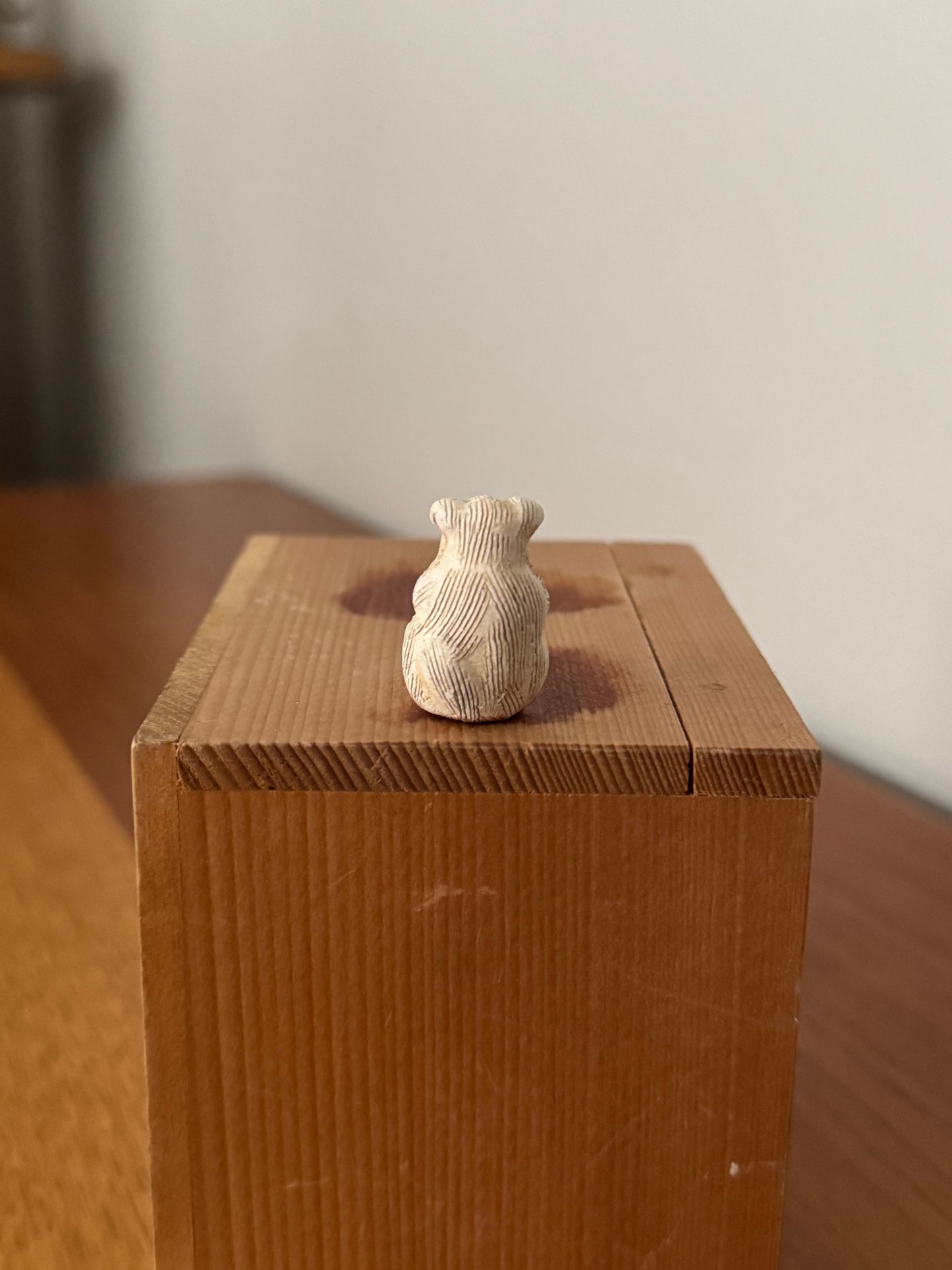 Tanuki de Shigaraki