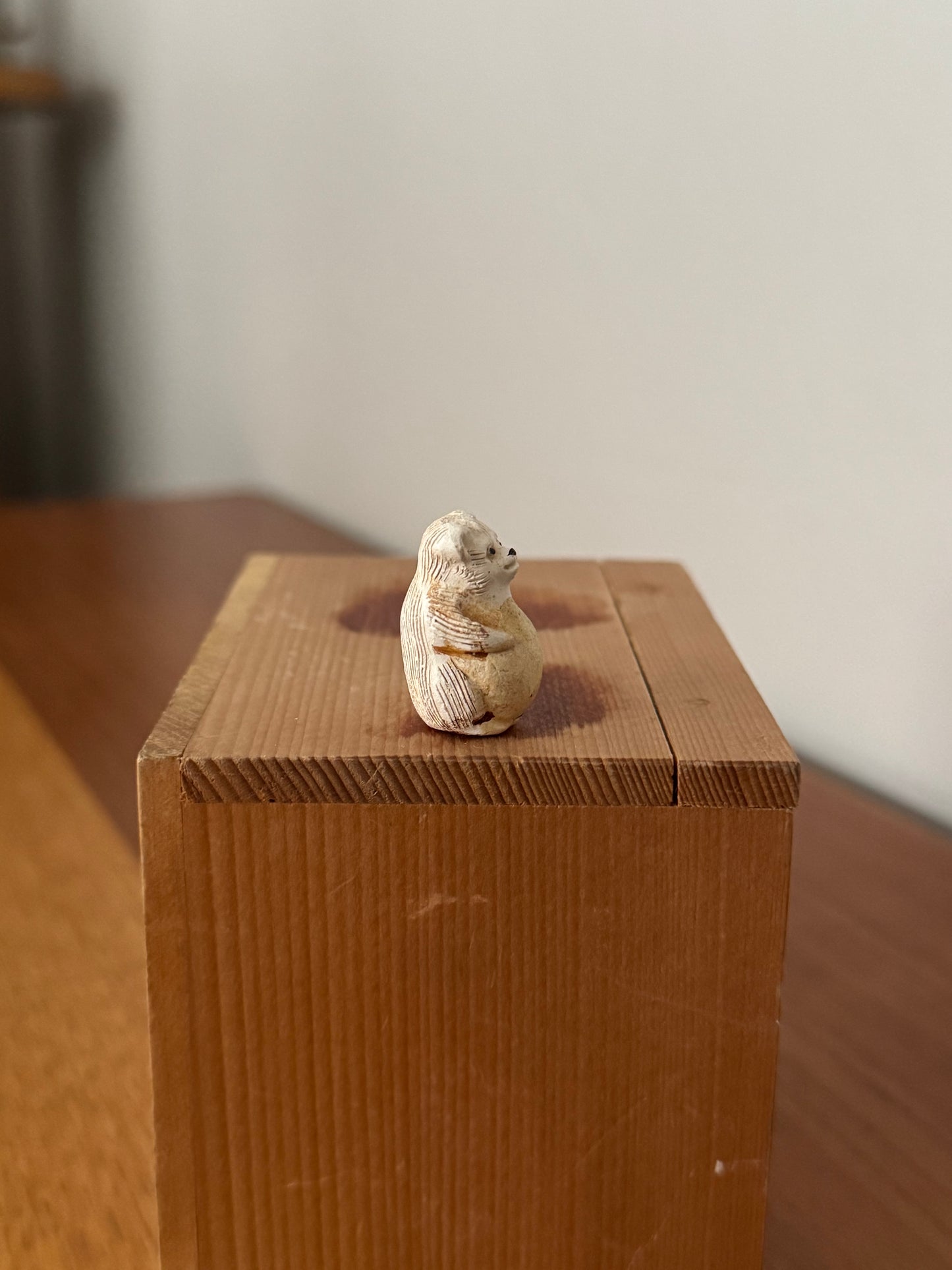 Tanuki de Shigaraki