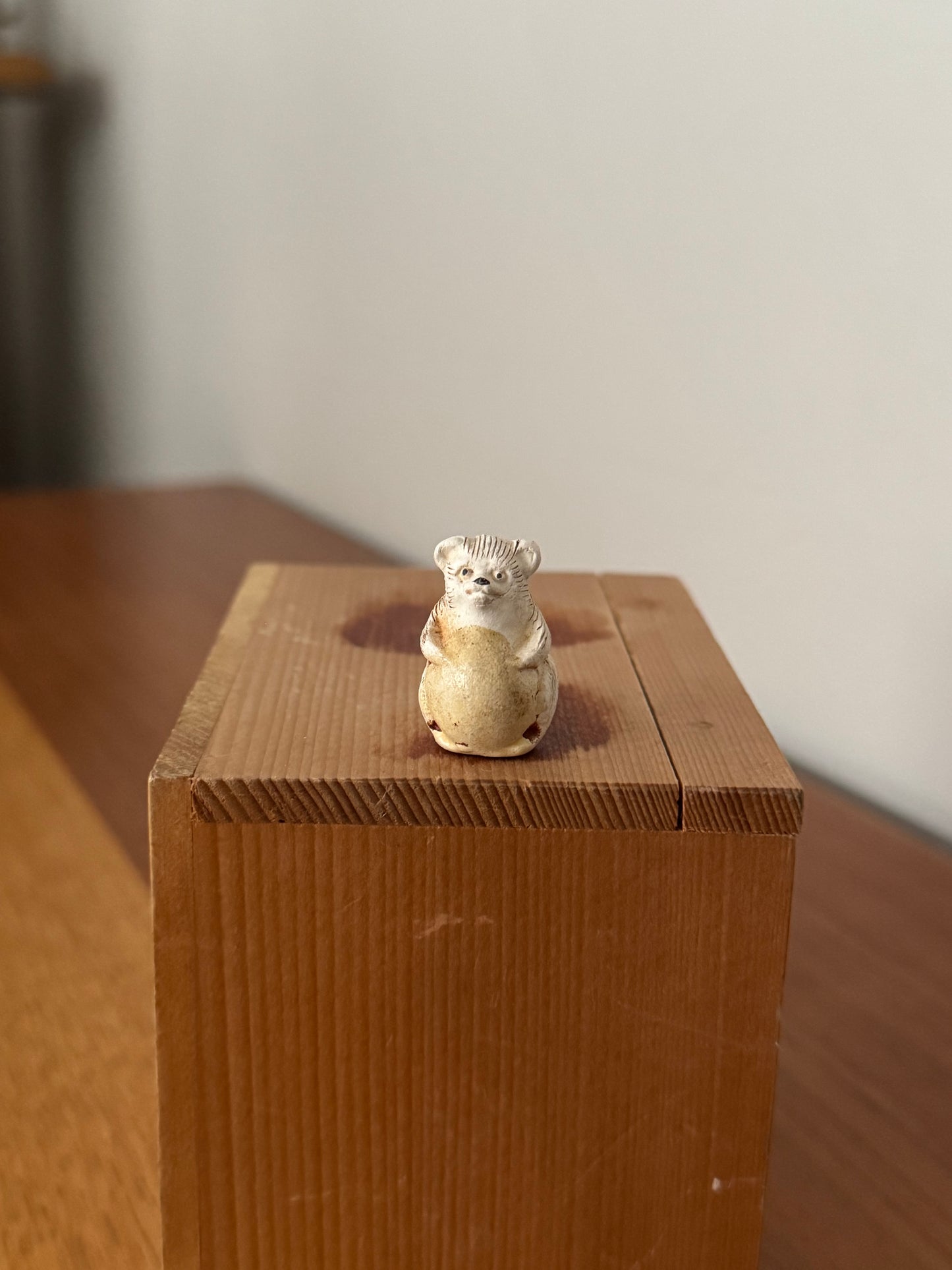 Tanuki de Shigaraki