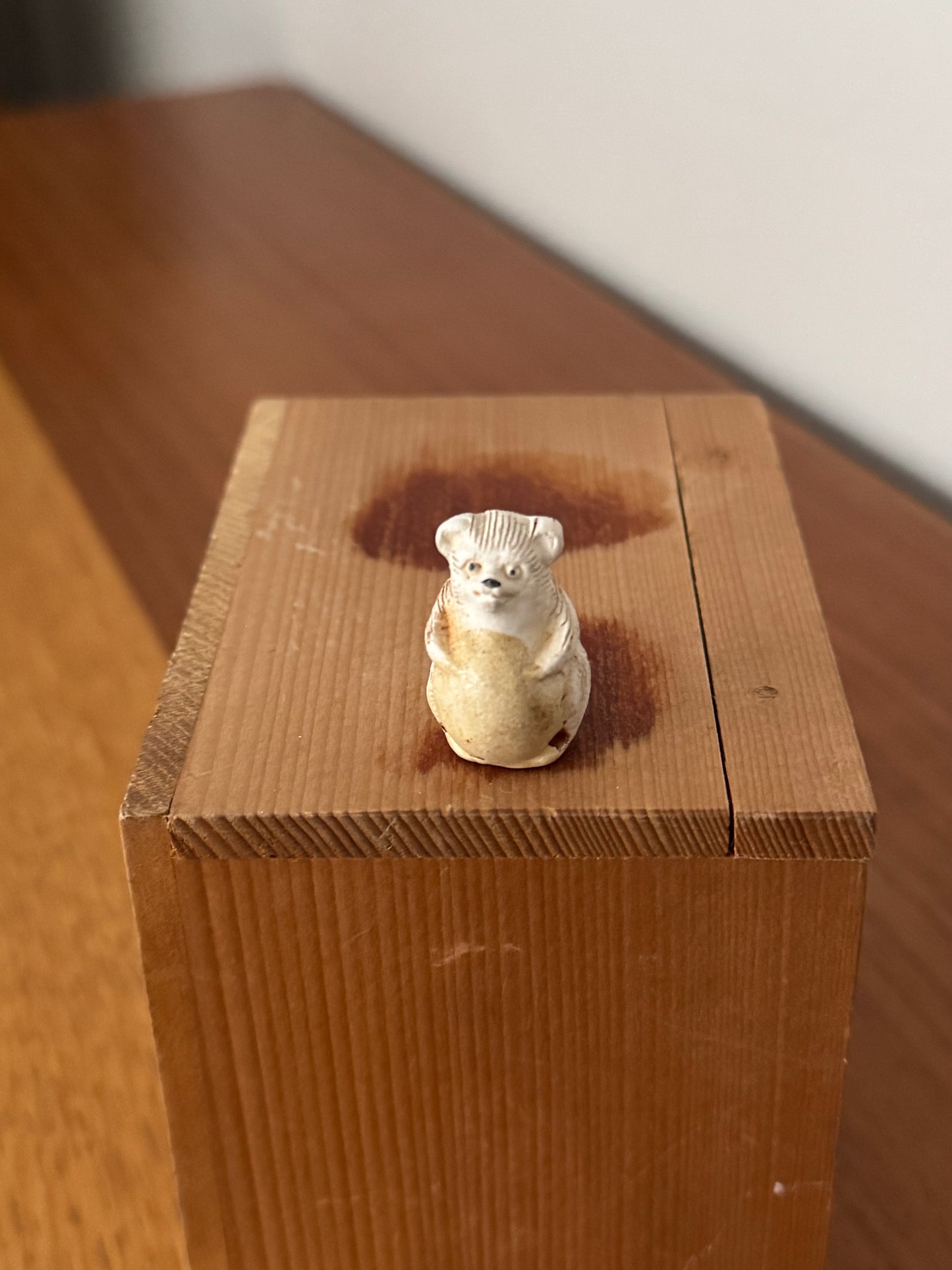 Tanuki de Shigaraki