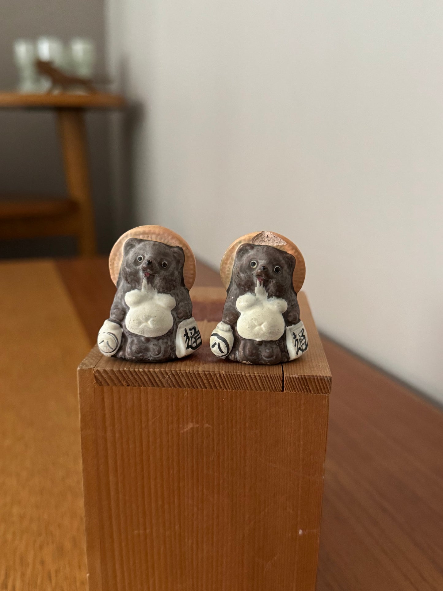 Tanuki de Shigaraki